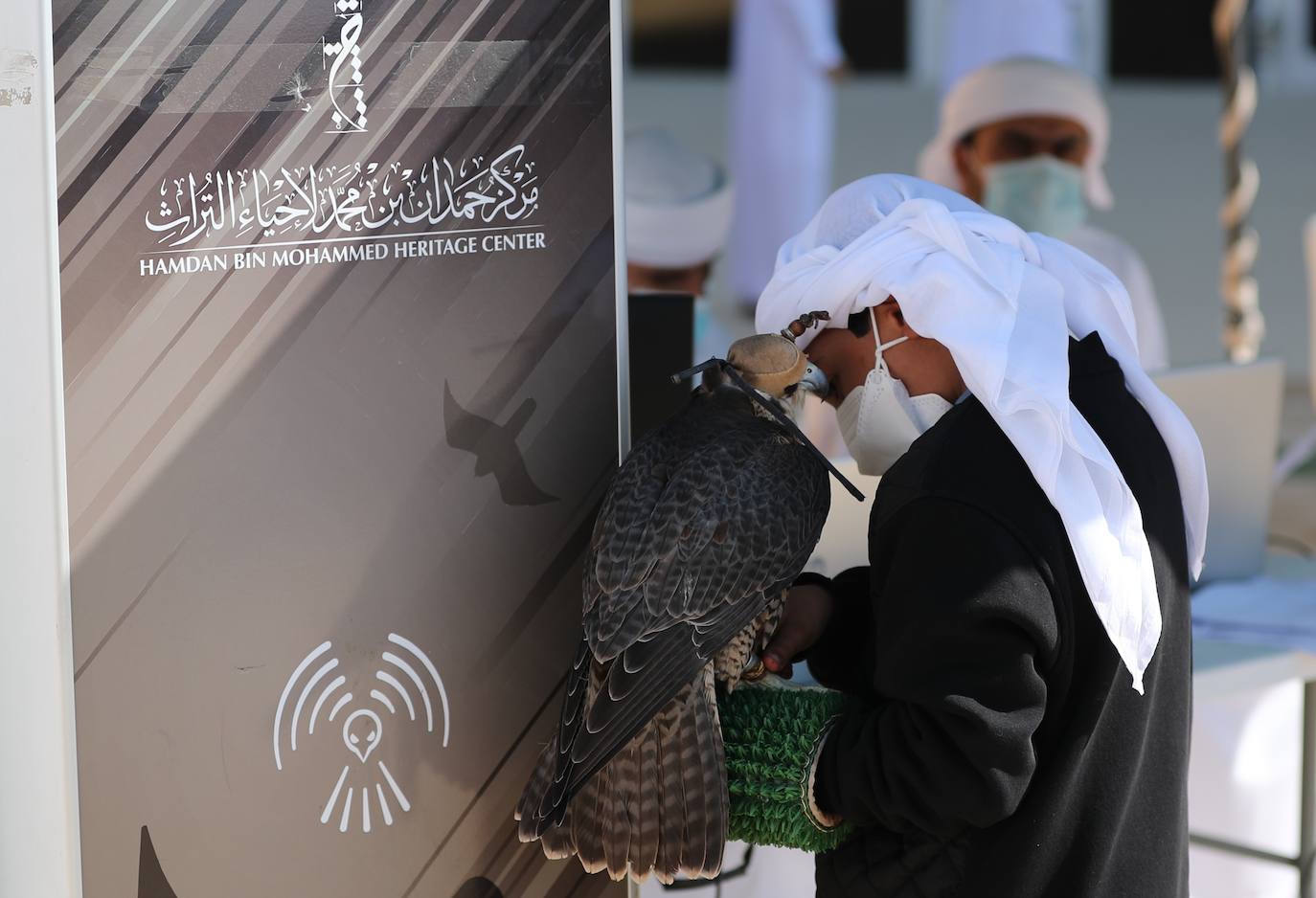 Fotos: Campeonato de Cetrería en Dubái