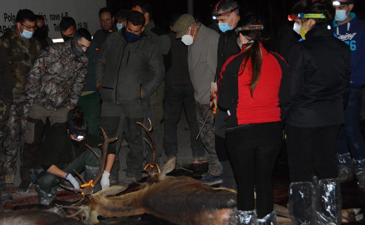 Podemos Cieza pide responsabilidades al alcalde por permitir la montería masiva del pasado domingo