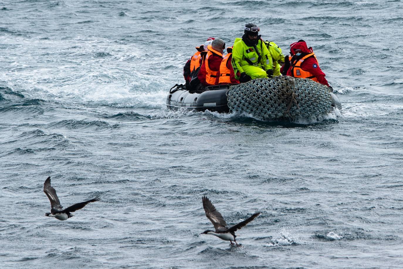 Fotos: La vida en la Antártida