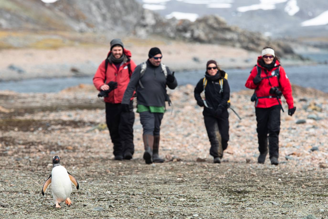 Fotos: La vida en la Antártida