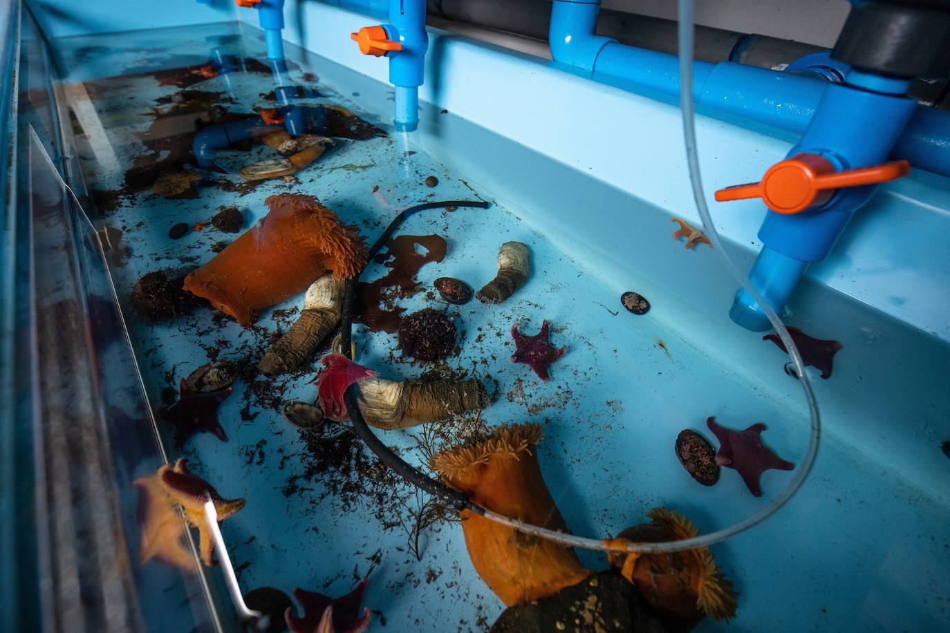 Fotos: La vida en la Antártida