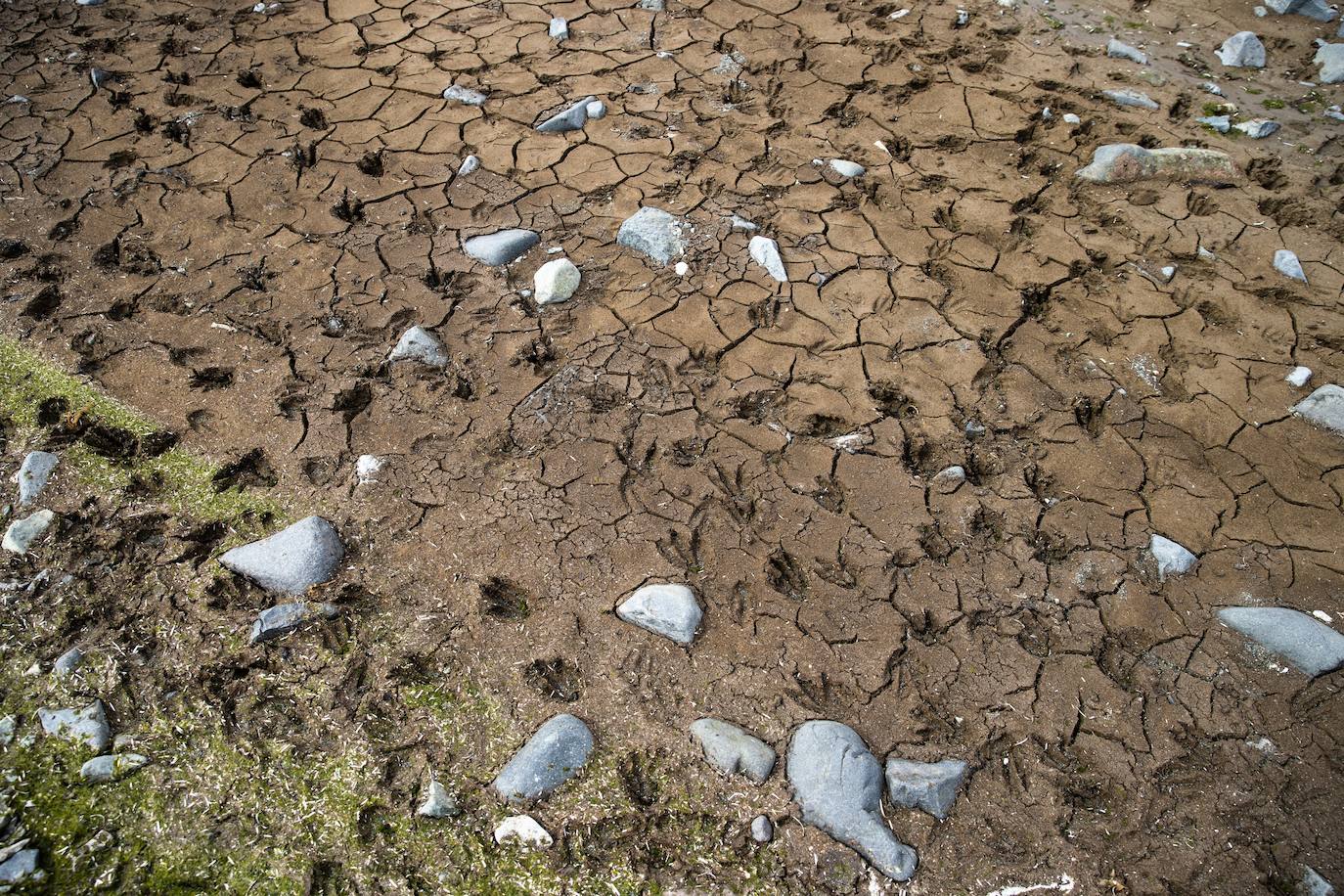 Fotos: La vida en la Antártida