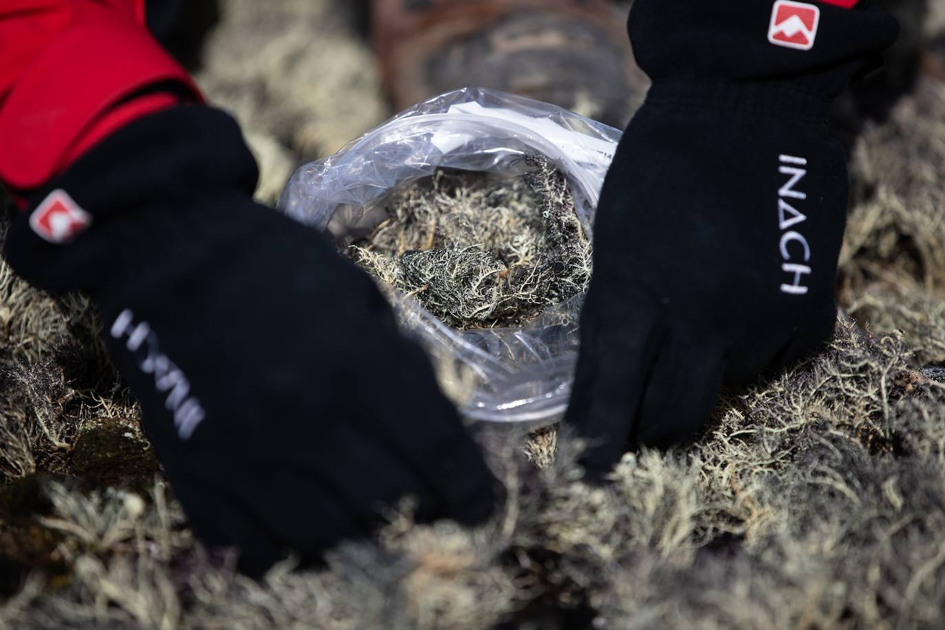 Fotos: La vida en la Antártida