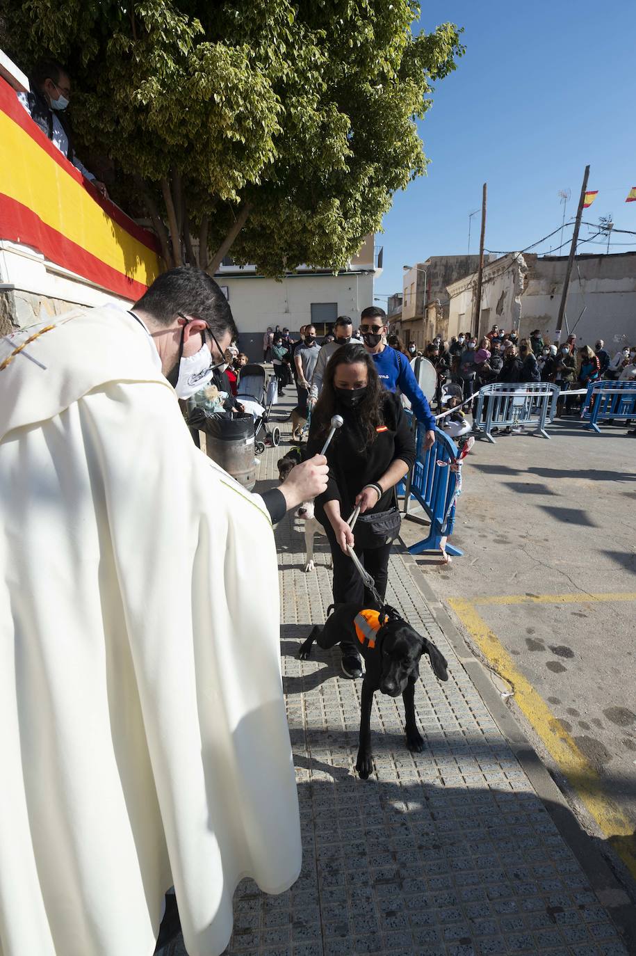 Fotos: San Antón recupera las bendiciones en Cartagena