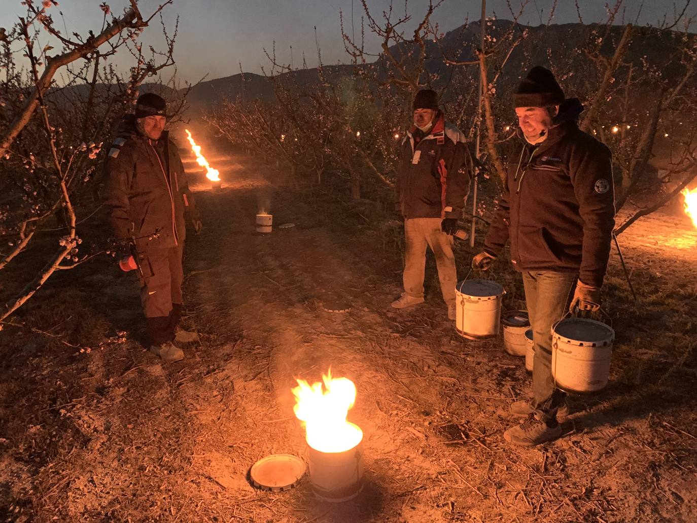 Fotos: Fuego contra las heladas en Cieza