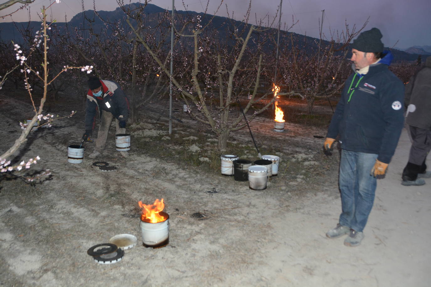 Fotos: Fuego contra las heladas en Cieza