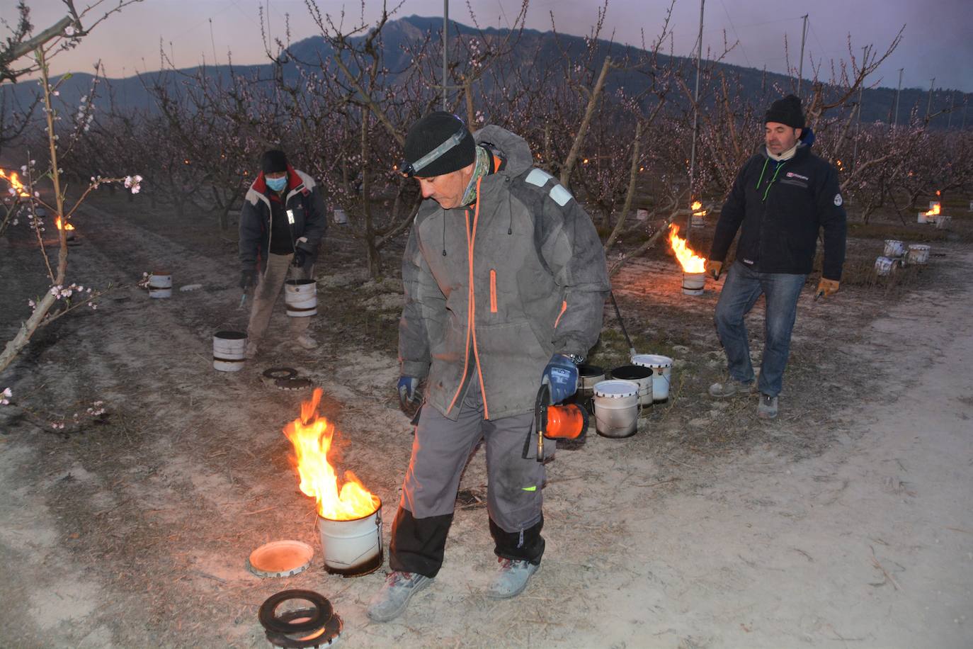 Fotos: Fuego contra las heladas en Cieza