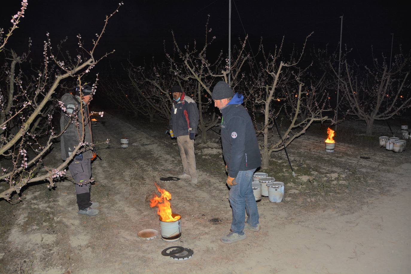 Fotos: Fuego contra las heladas en Cieza