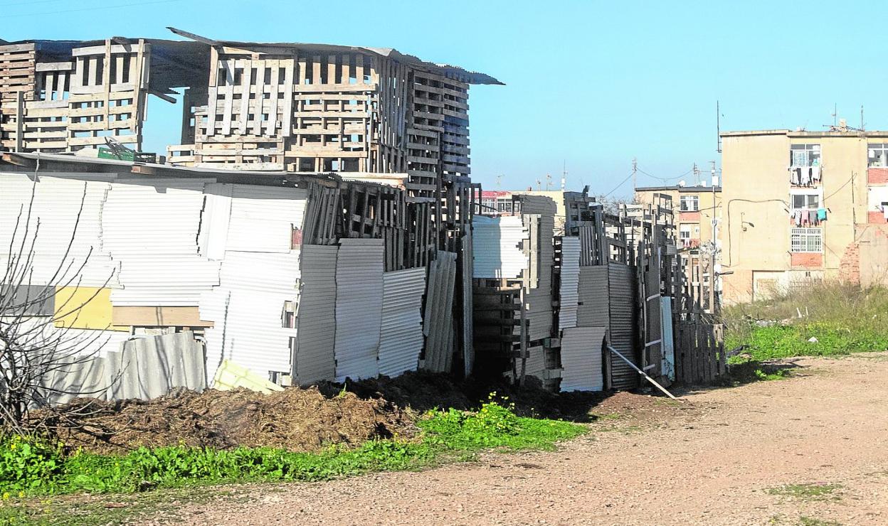 Unas cuadras levantadas con maderas y chapas, en Lo Campano. Una de ellas ocupa ya dos alturas. 