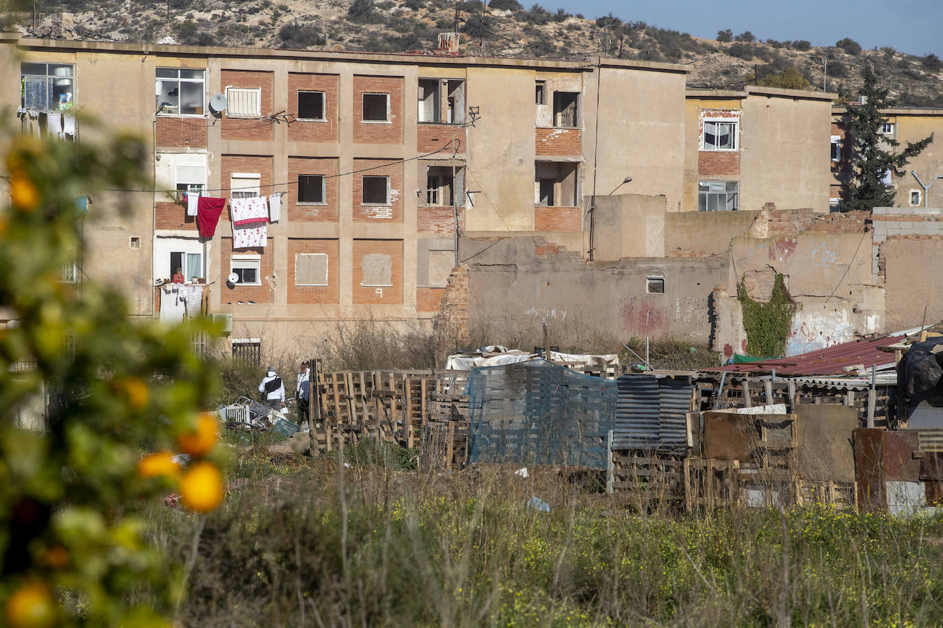 Fotos: Cuadras y corrales clandestinos se extienden junto a Lo Campano ante la pasividad municipal