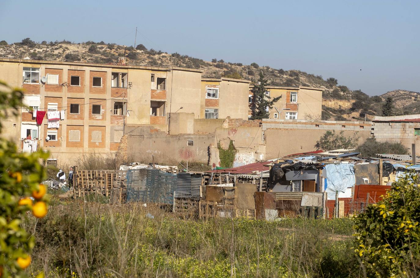 Fotos: Cuadras y corrales clandestinos se extienden junto a Lo Campano ante la pasividad municipal