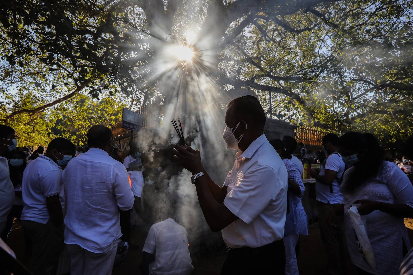 Fotos: Procesión religiosa en Sri Lanka