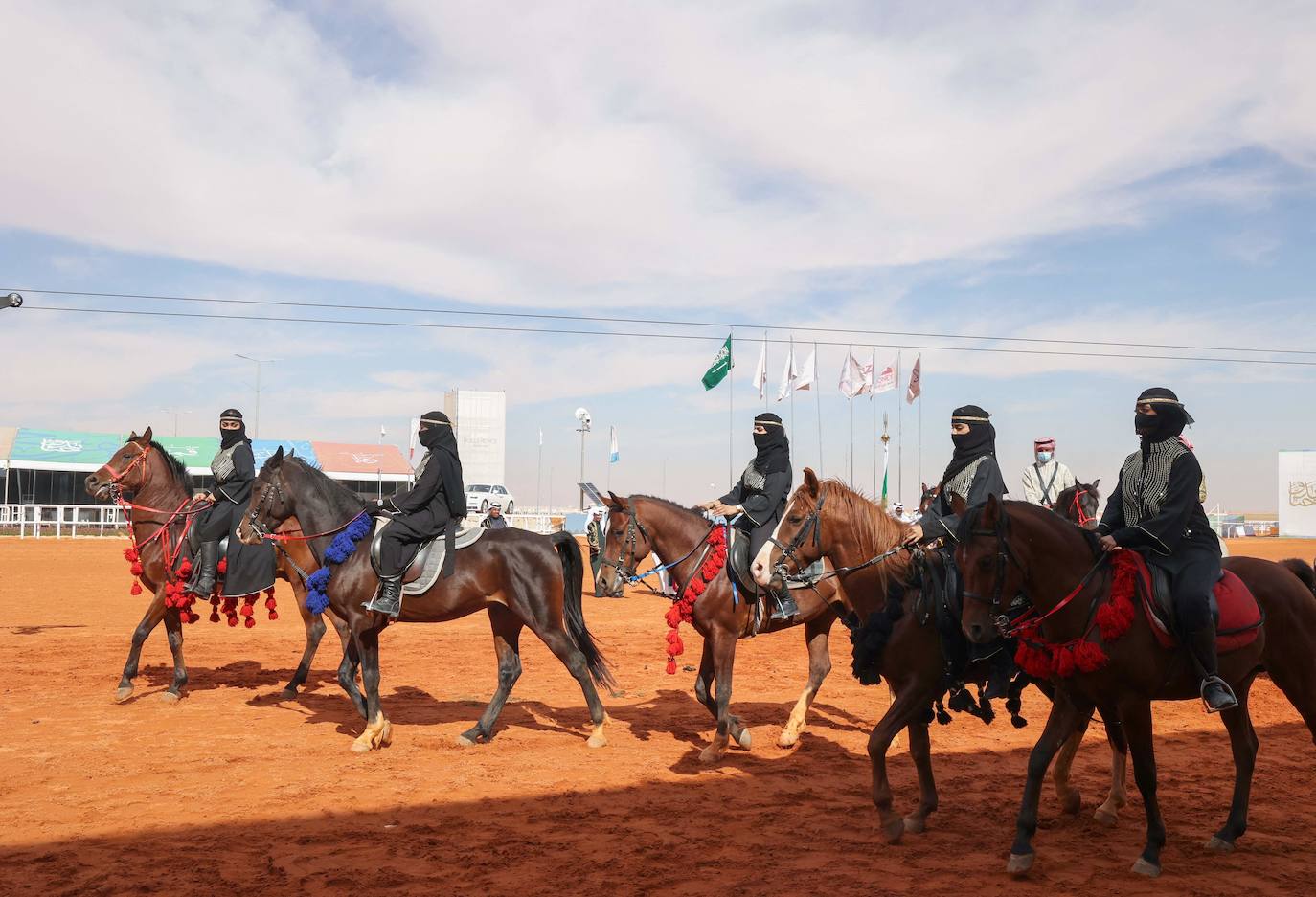 Fotos: Los camellos bellos