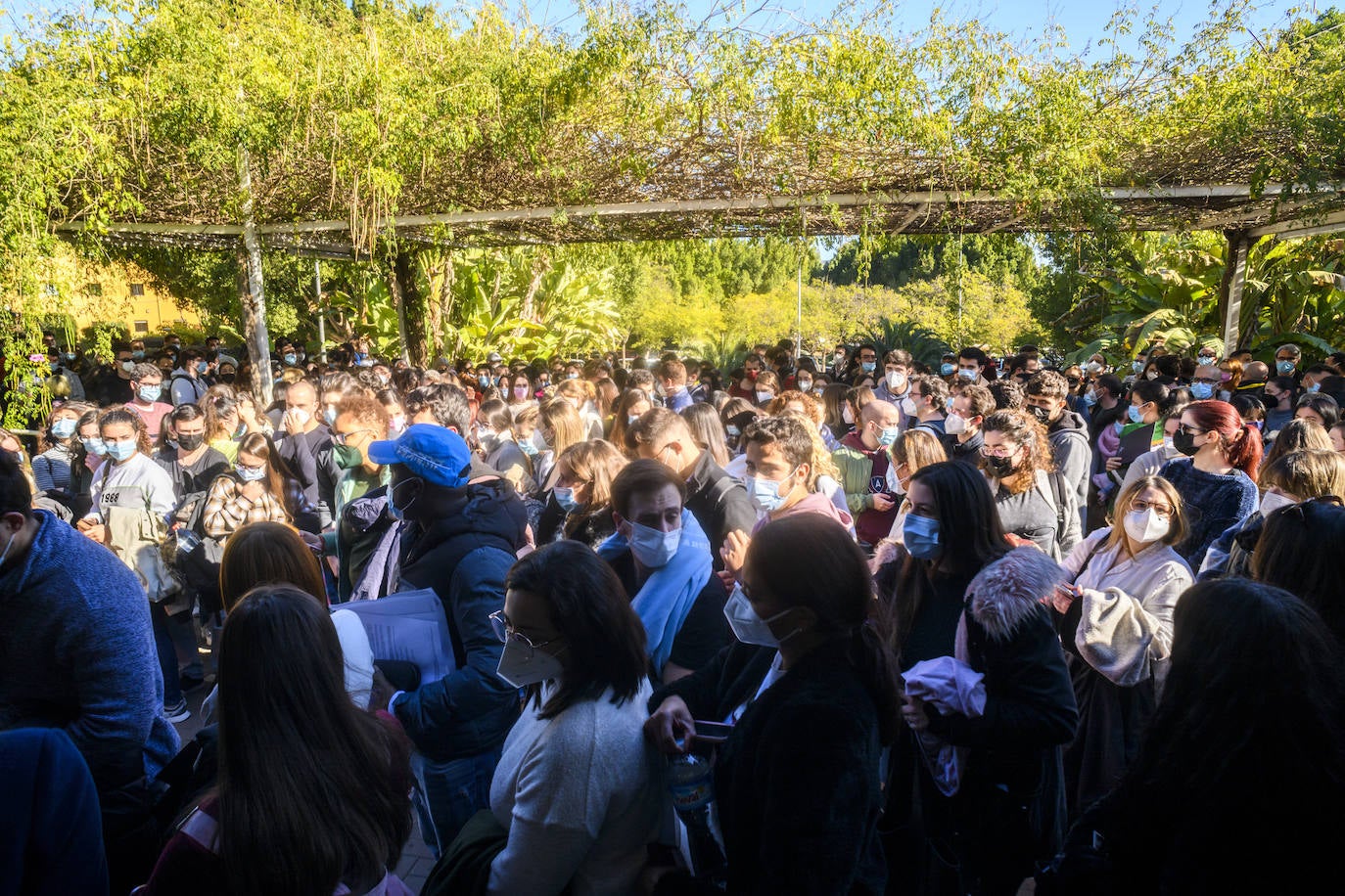 Fotos: Convocatoria de exámenes del MIR en la Región de Murcia