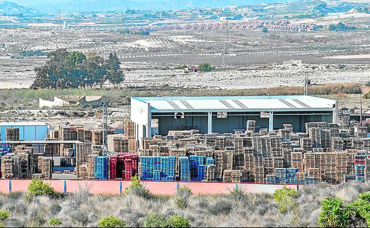Instalaciones de la mercantil Unión Paletera de Levante en Fortuna, que fueron registradas por los agentes de Vigilancia Aduanera hace diez días.