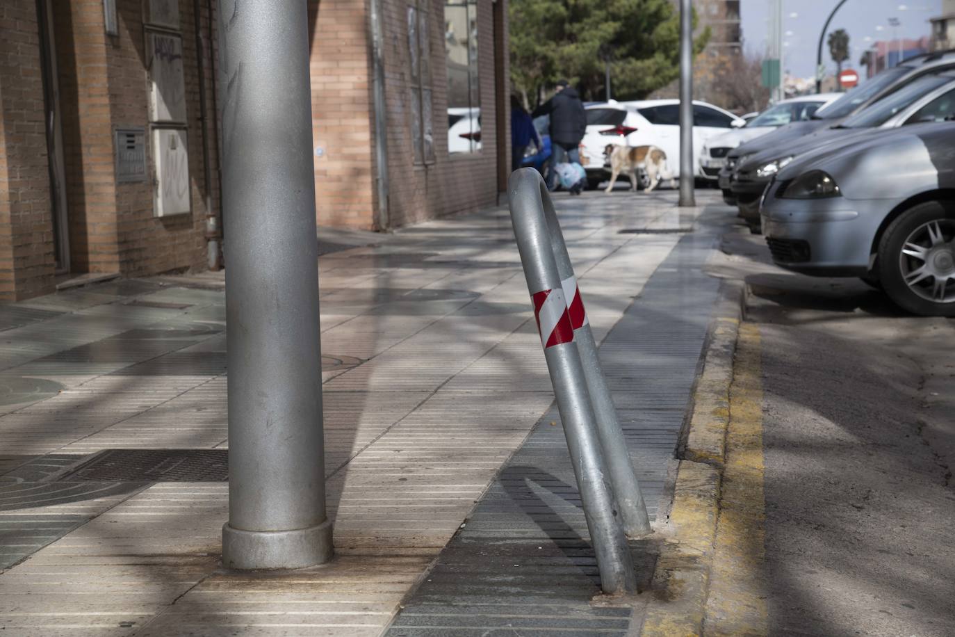 Fotos: La suciedad invade el centro de Cartagena