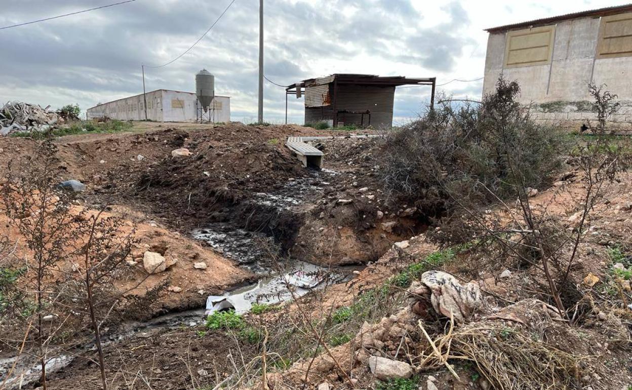 Reguero de purines junto a una granja de cerdos del Campo de Cartagena investigada por las autoridades, en una fotografía de los últimos días. 