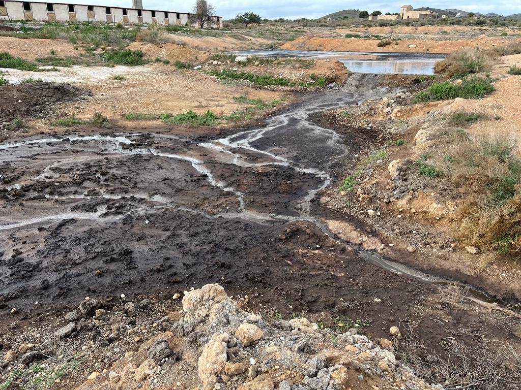 Fotos: Vertidos de purines junto al Mar Menor