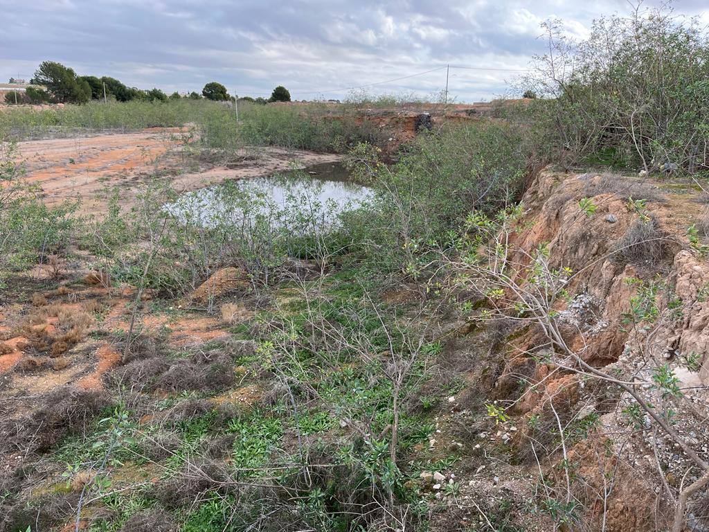 Fotos: Vertidos de purines junto al Mar Menor