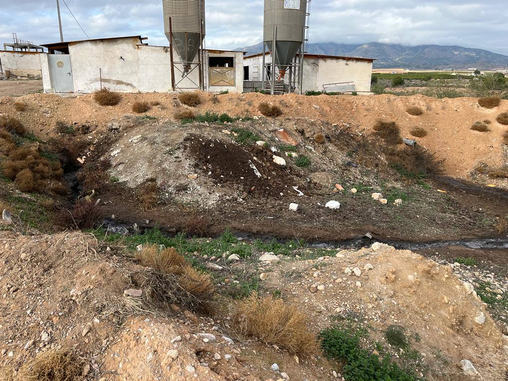 Fotos: Vertidos de purines junto al Mar Menor