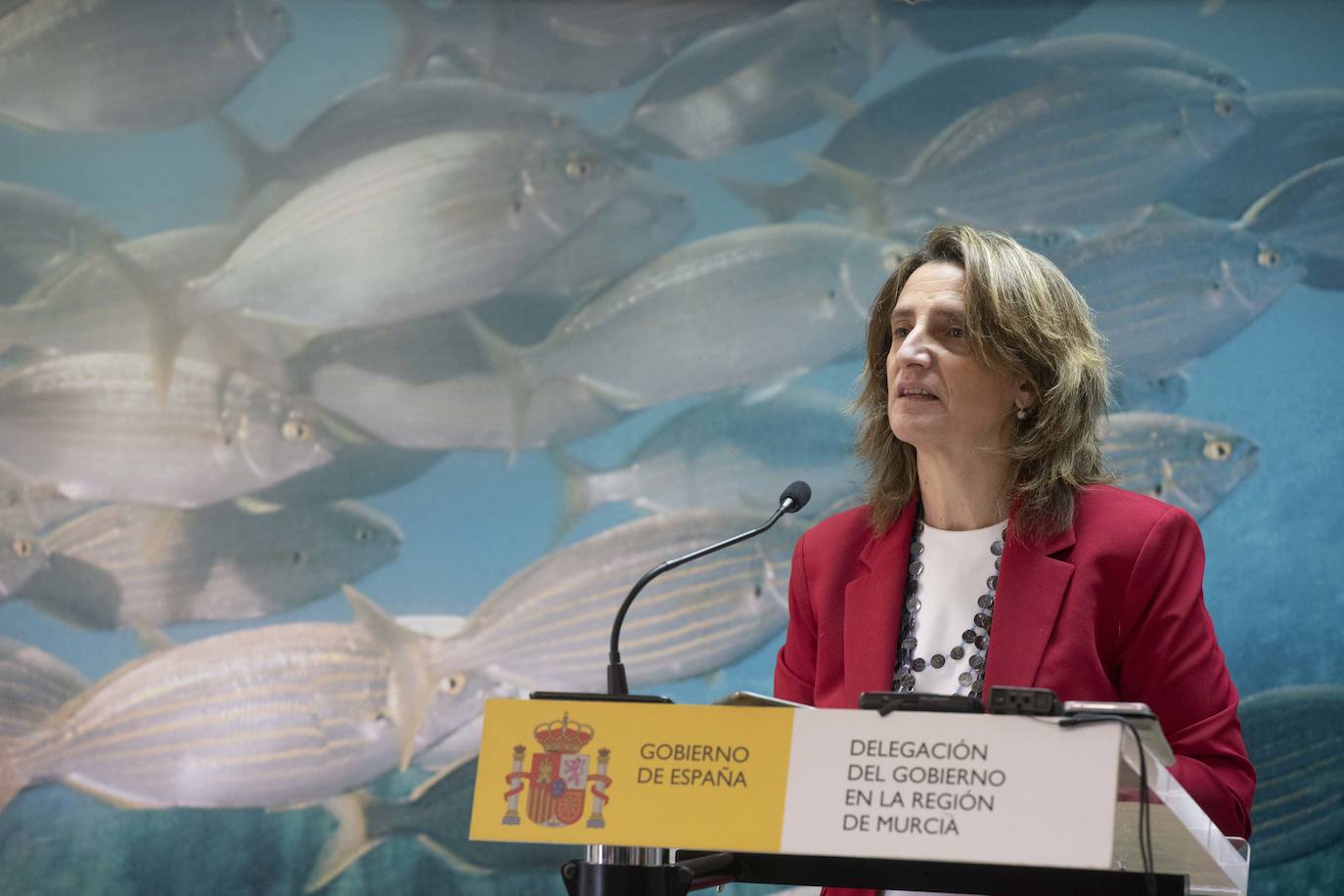 Fotos: La ministra Ribera visita la Región para comprobar el estado del Mar Menor