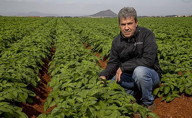 Antonio Sáez, en la finca de El Algar. 
