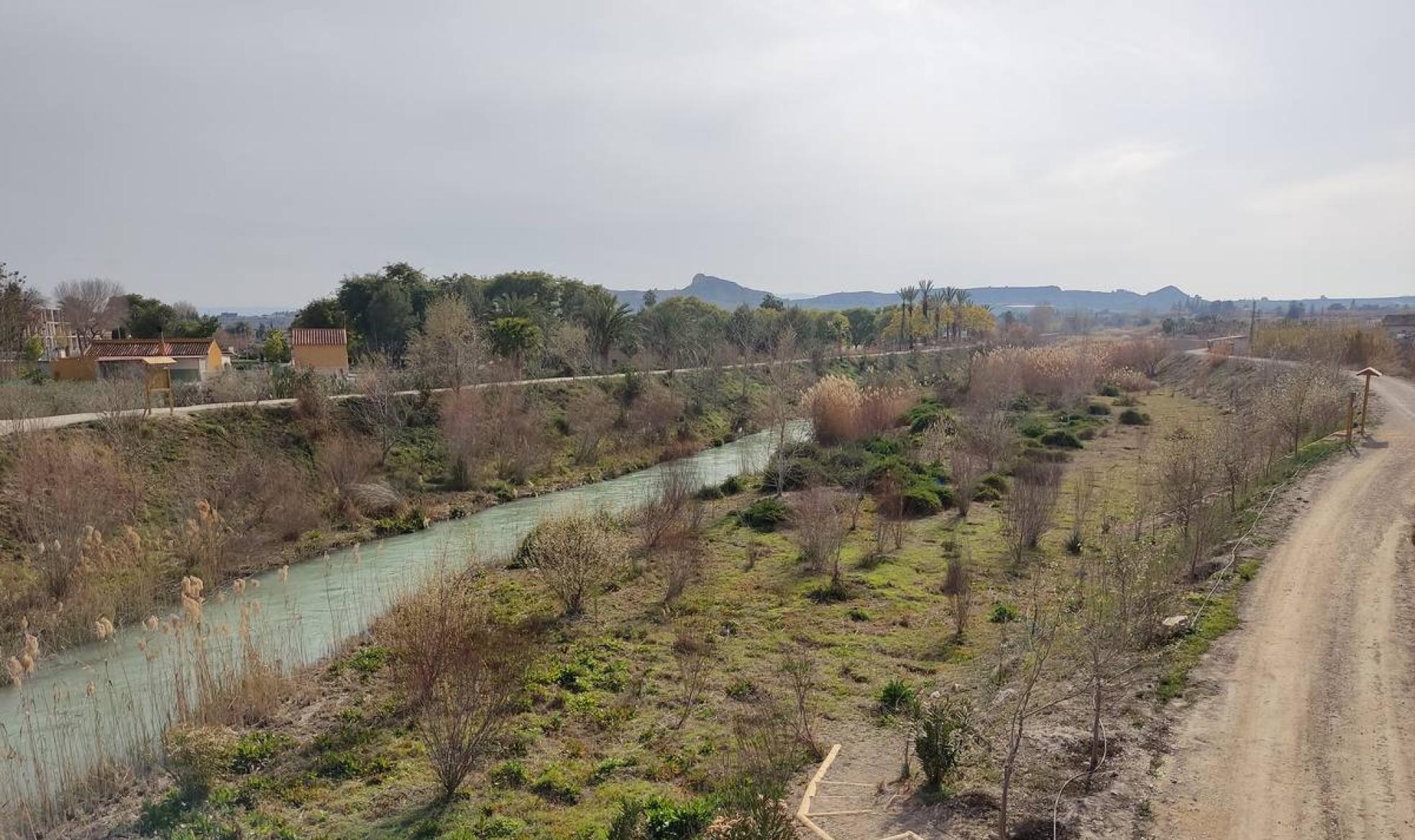 Tramo del río Segura objeto de recuperación situado entre las localidades de Ceutí y Lorquí. 