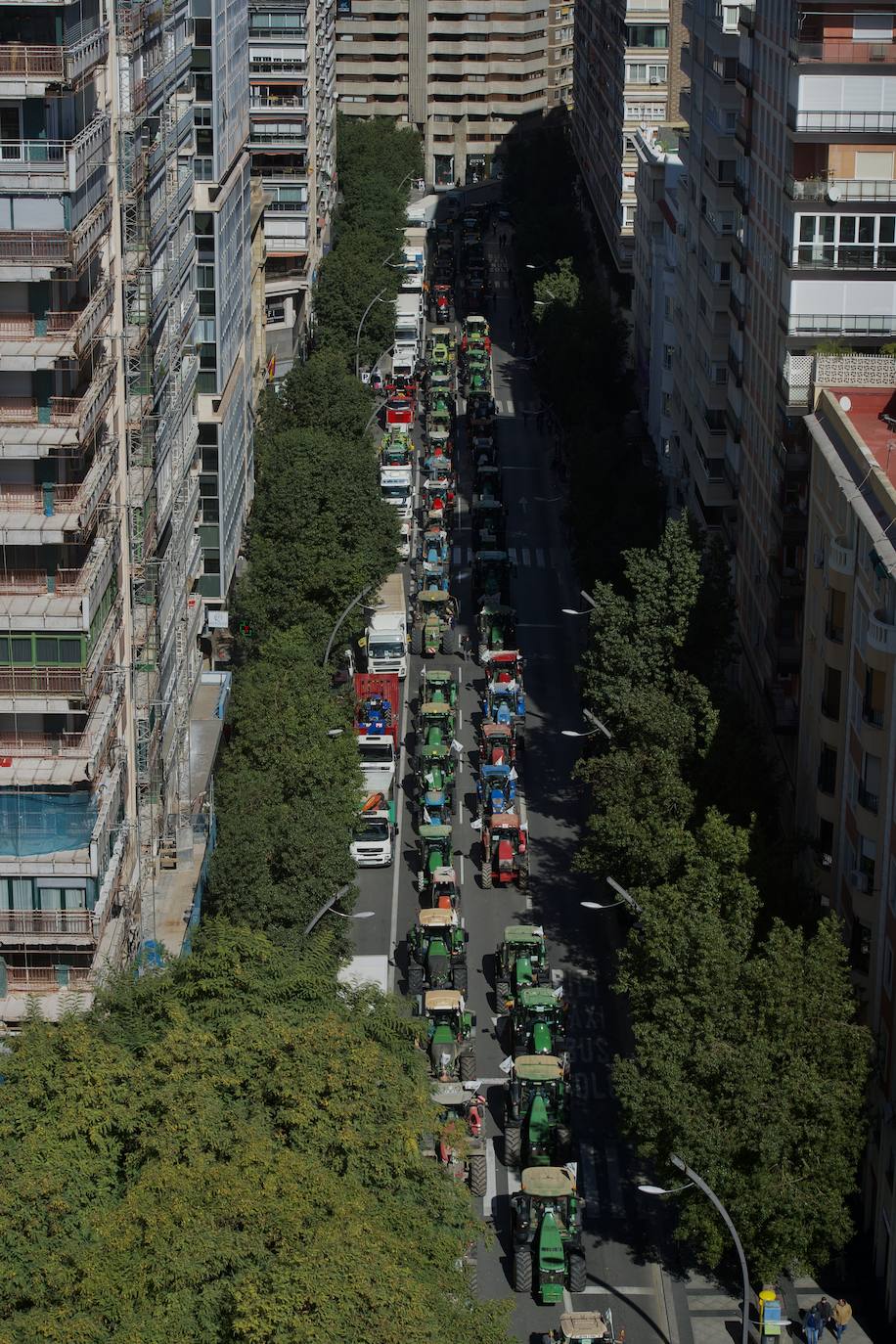 Fotos: Más de 500 tractores y camiones toman este miércoles Murcia en la manifestación del campo