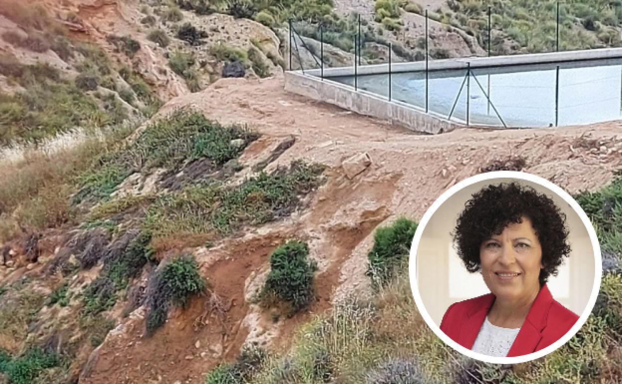 Filtraciones en una de las paredes de una balsa de purines, en la granja denunciada. María Ángeles Túnez