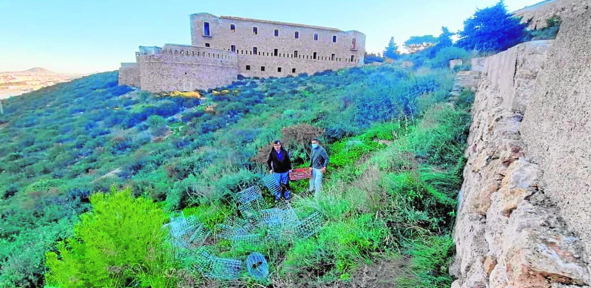 Trabajos de rehabilitación del hábitat bajo la batería y cuartel de Fajardo en Cartagena dentro del Proyecto Baluarte. 