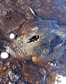 Imagen secundaria 2 - Vertidos en la balsa de la pedanía murciana de La Tercia.