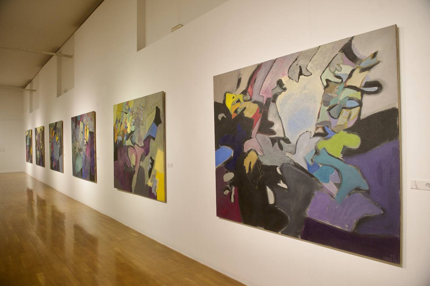 Fotos: Exposición de Vicente Ruiz en el Almudí de Murcia