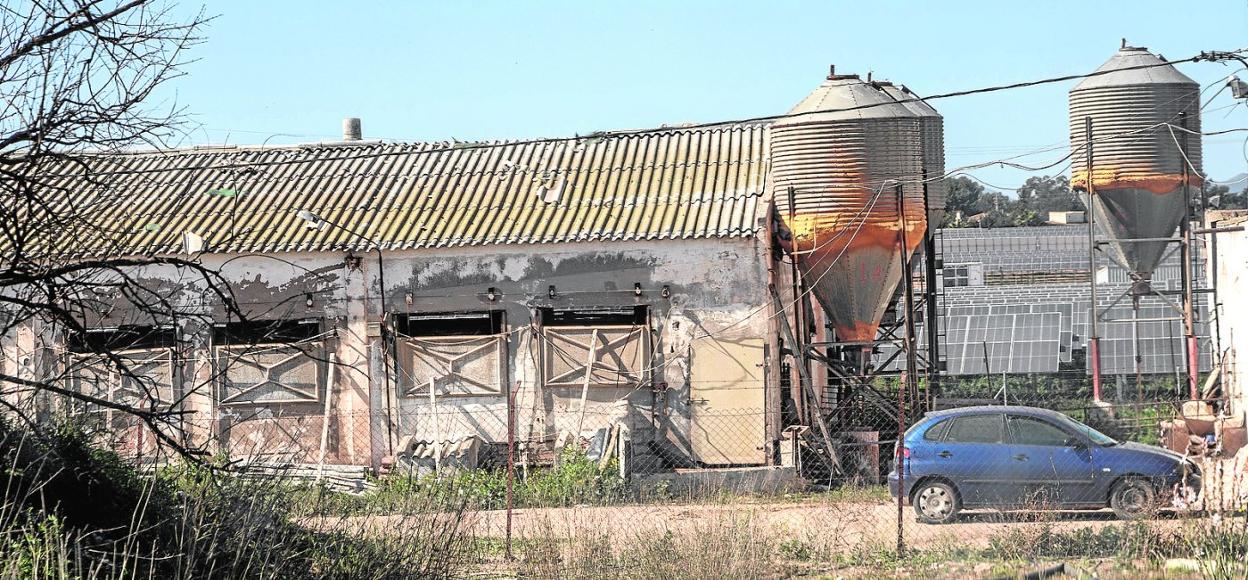 Vista de unas de las explotaciones ganaderas denunciadas por la Policía Local de Cartagena, en Molino Derribado. 