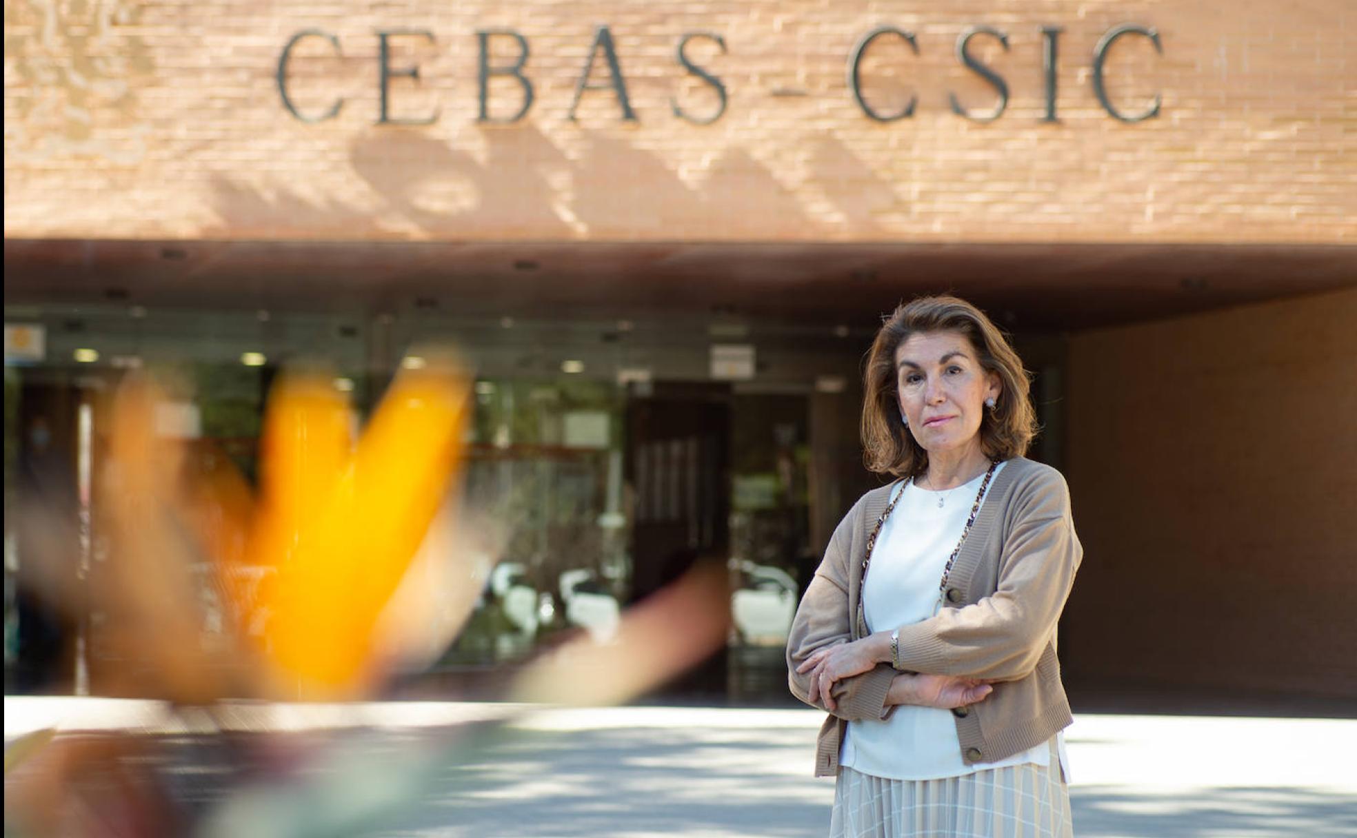 Francisca Sevilla, en el CEBAS-CSIC. 