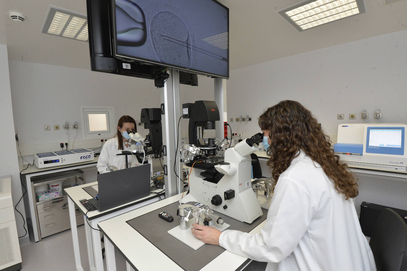 Fotos: Inauguración del nuevo laboratorio de reproducción asistida de La Arrixaca