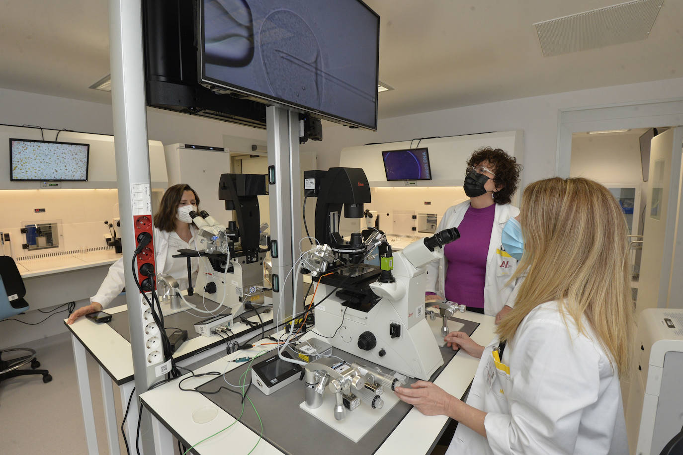 Fotos: Inauguración del nuevo laboratorio de reproducción asistida de La Arrixaca