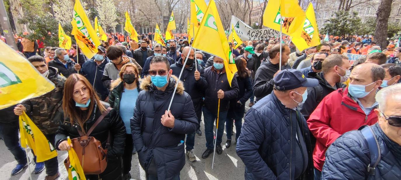 Fotos: Agricultores, ganaderos y cazadores murcianos participan en la manifestación de Madrid