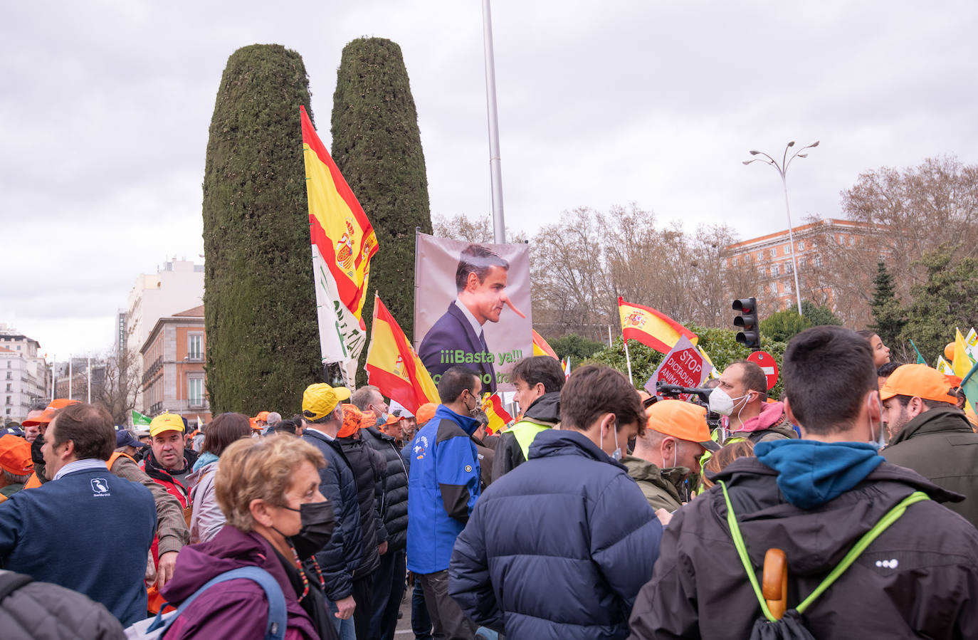 Fotos: Agricultores, ganaderos y cazadores murcianos participan en la manifestación de Madrid