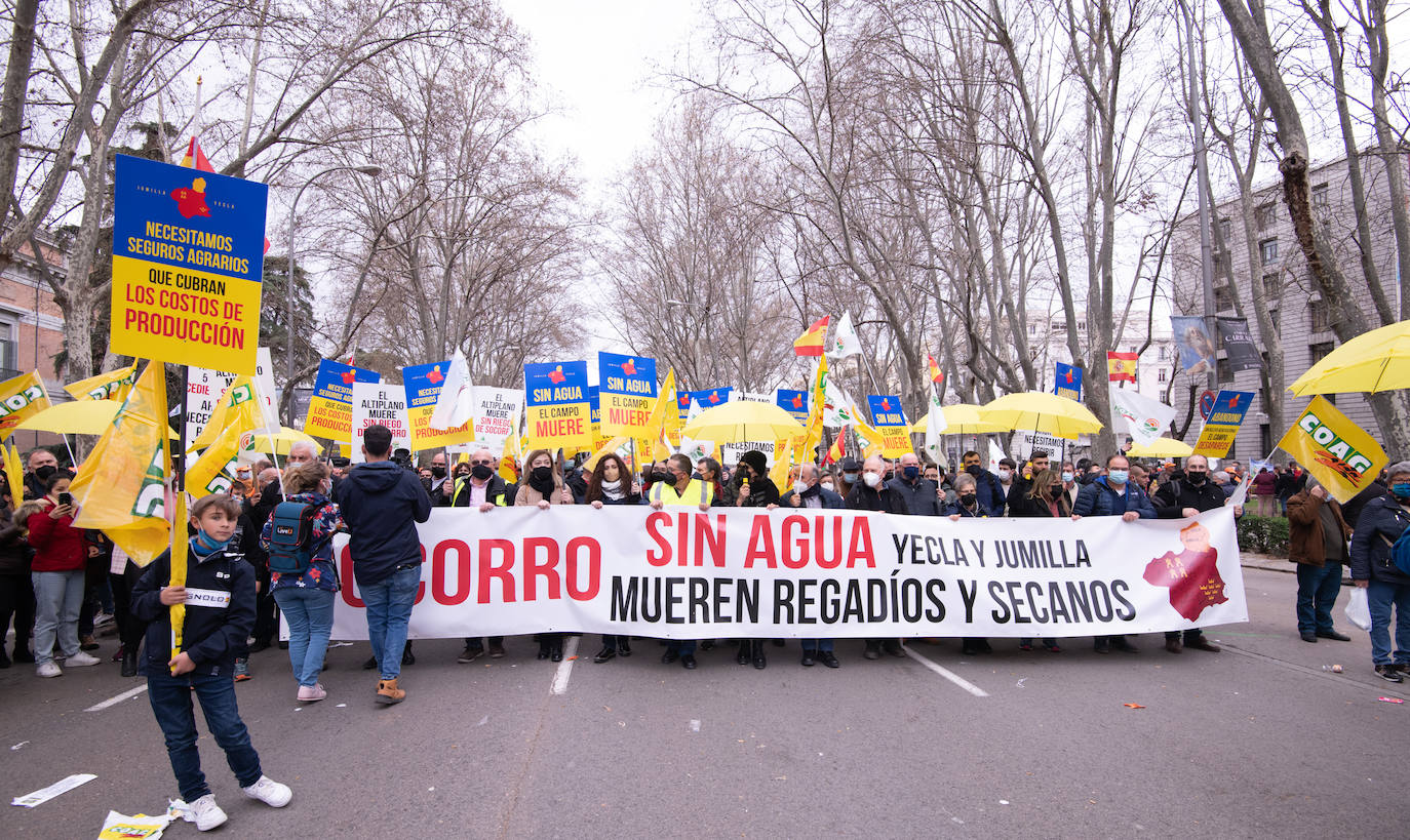 Fotos: Agricultores, ganaderos y cazadores murcianos participan en la manifestación de Madrid