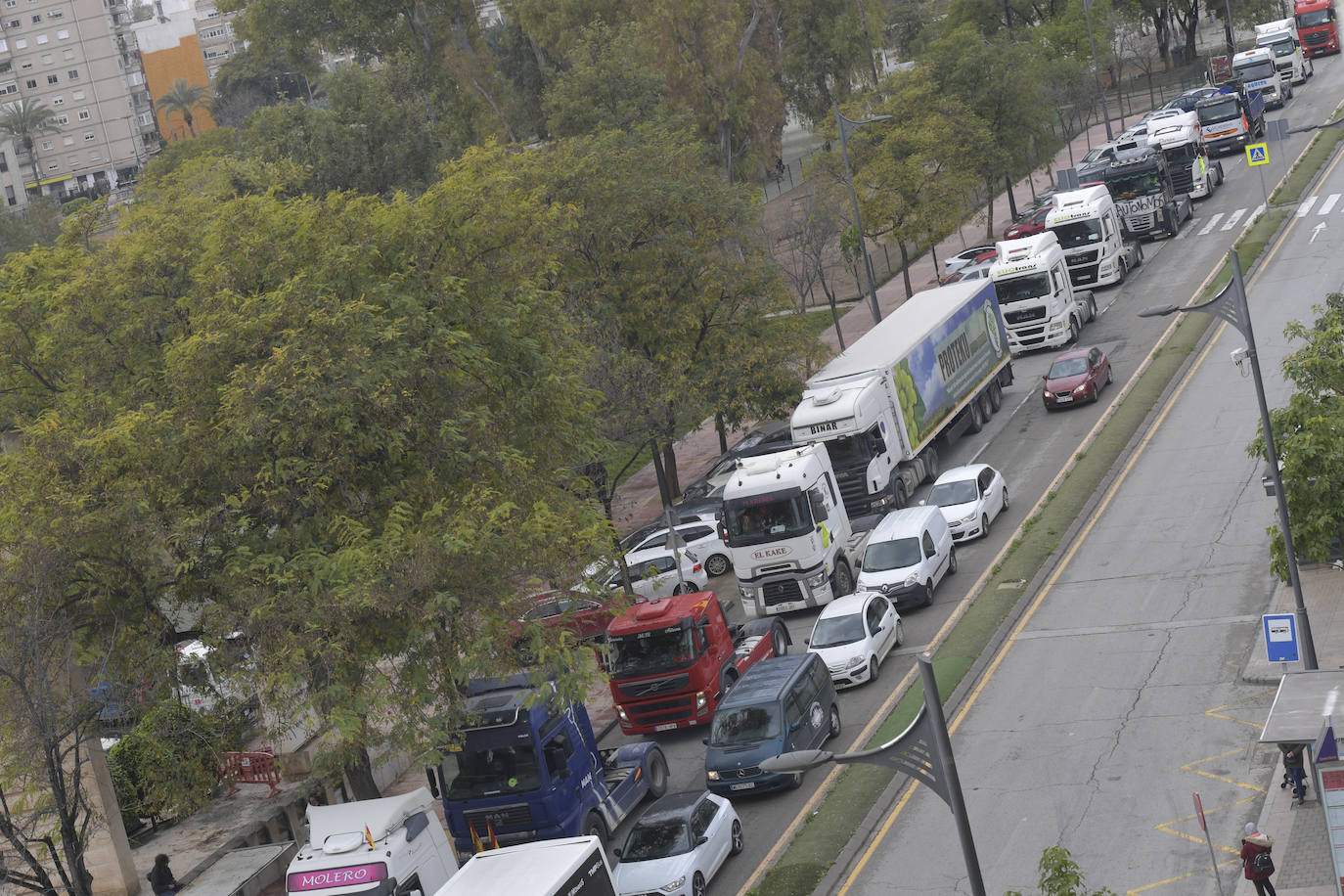 Fotos: Centenares de camioneros colapsan el Tráfico en Murcia, en imágenes