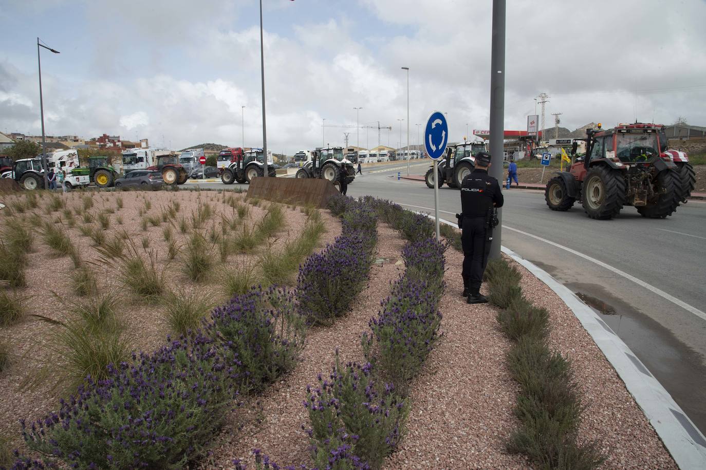 Fotos: Centenares de camioneros colapsan las calles de Cartagena, en imágenes