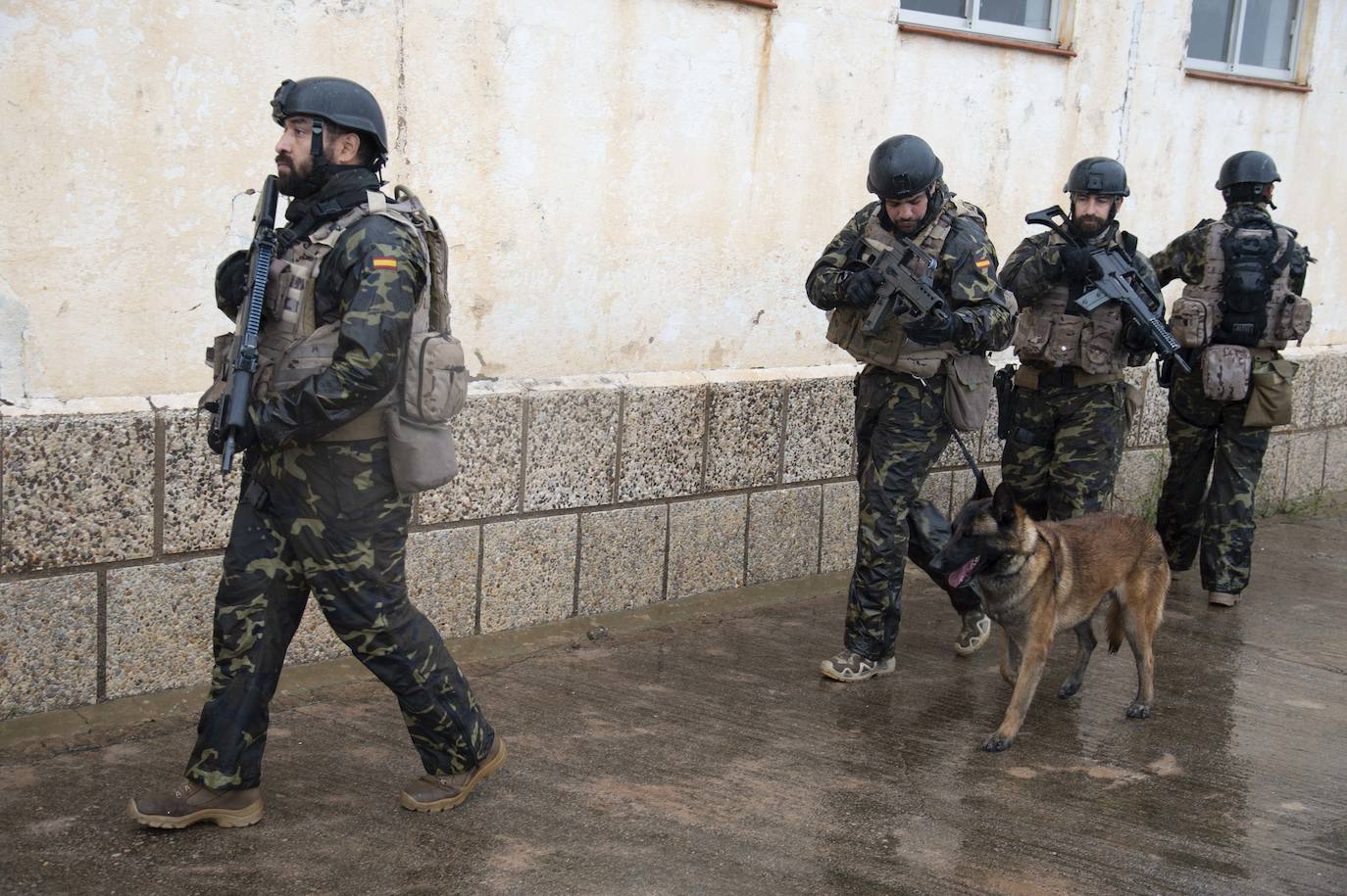 Fotos: Perros adiestrados para salvar vidas