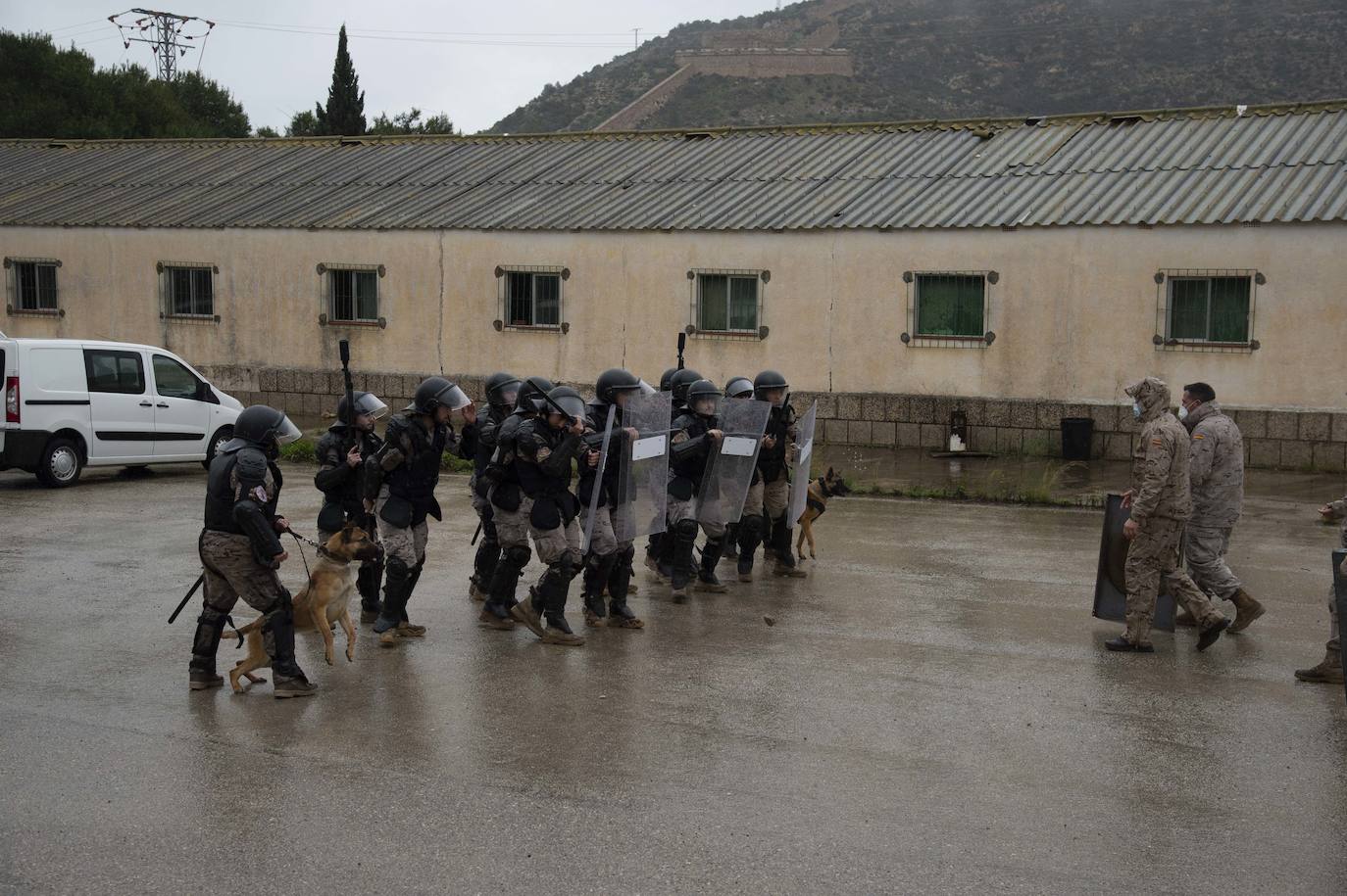 Fotos: Perros adiestrados para salvar vidas