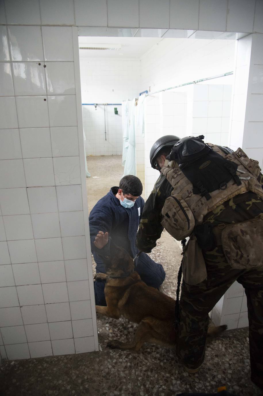 Fotos: Perros adiestrados para salvar vidas