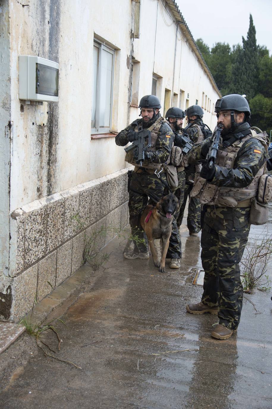 Fotos: Perros adiestrados para salvar vidas