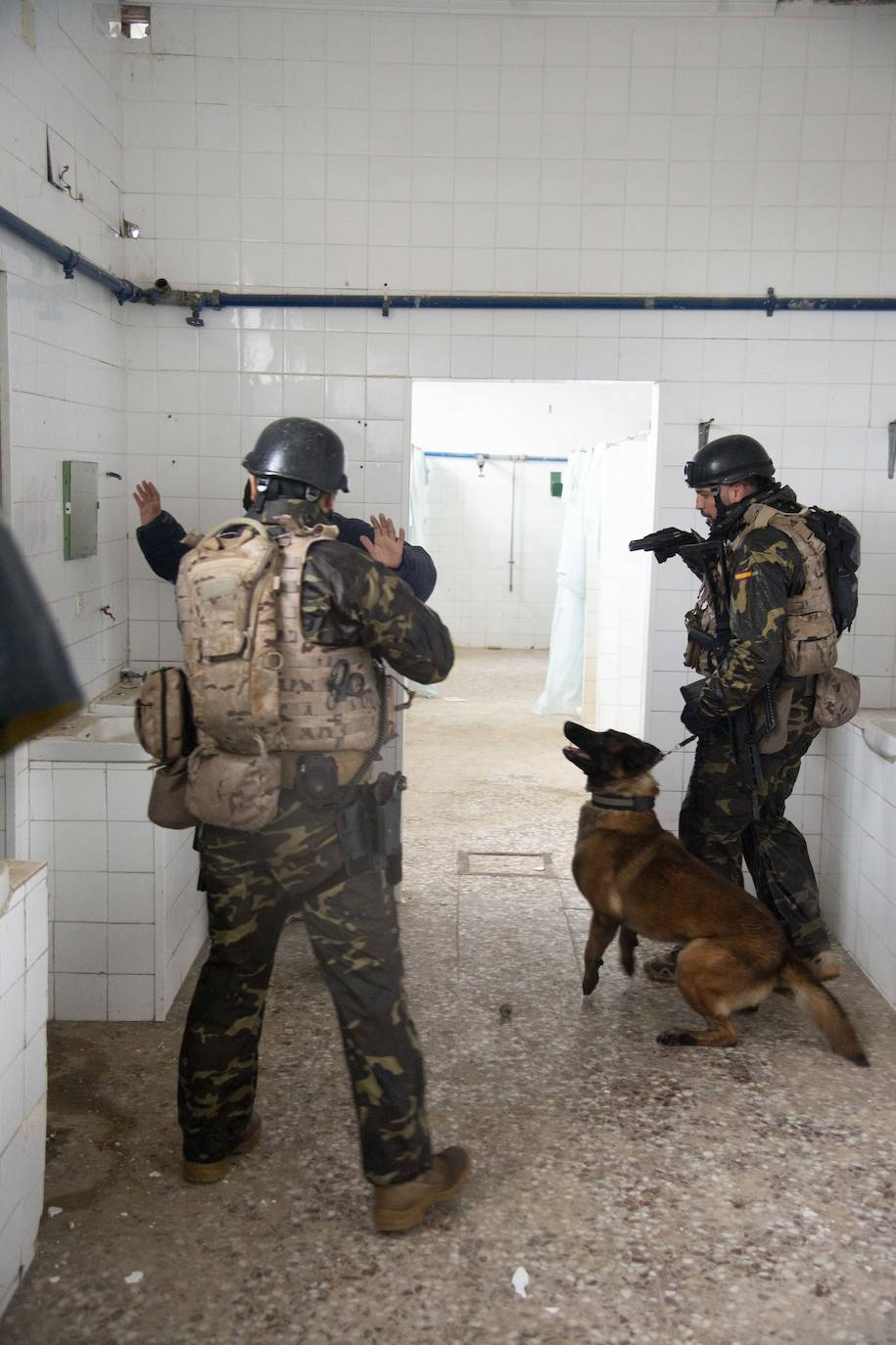 Fotos: Perros adiestrados para salvar vidas