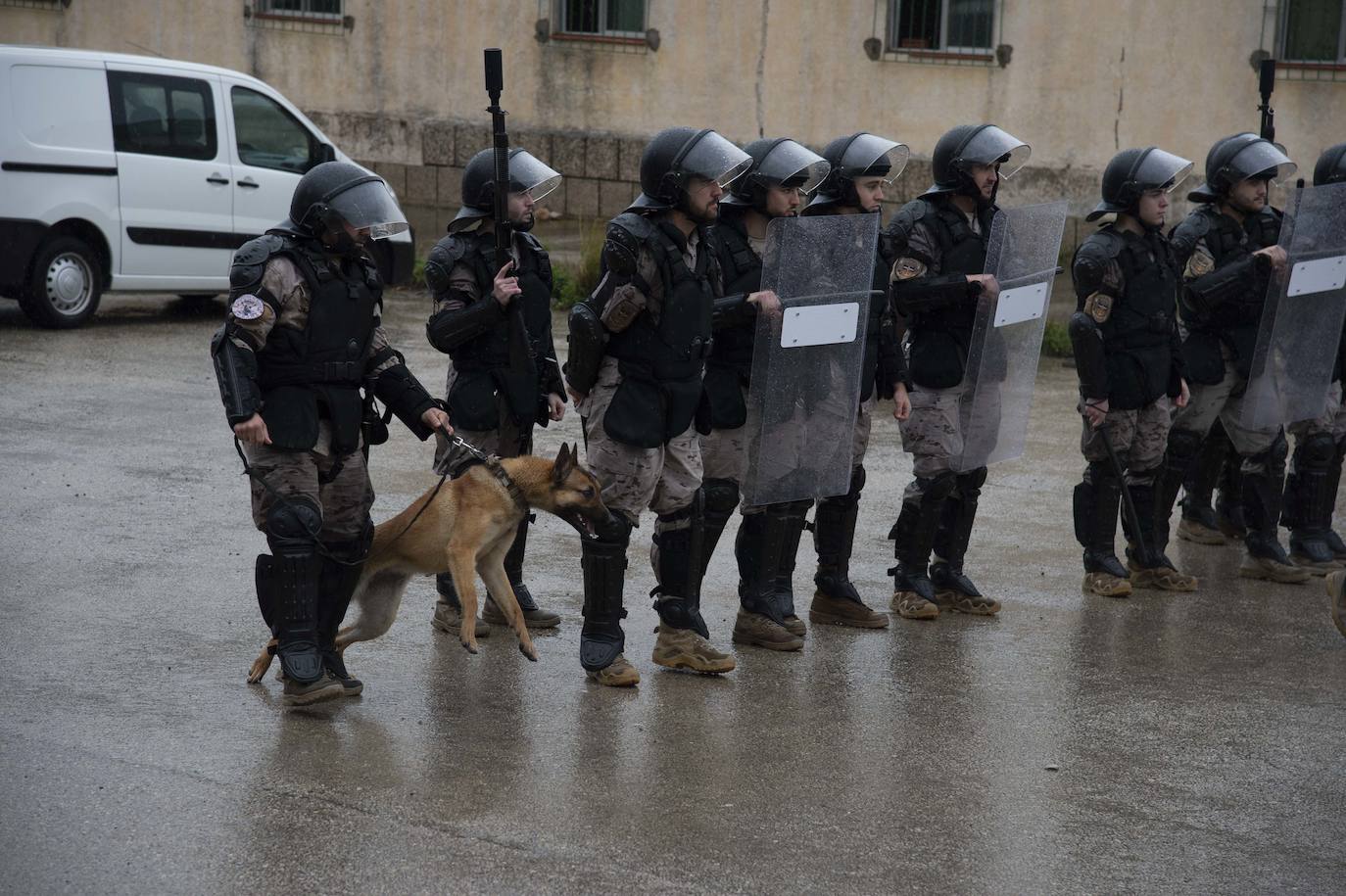 Fotos: Perros adiestrados para salvar vidas