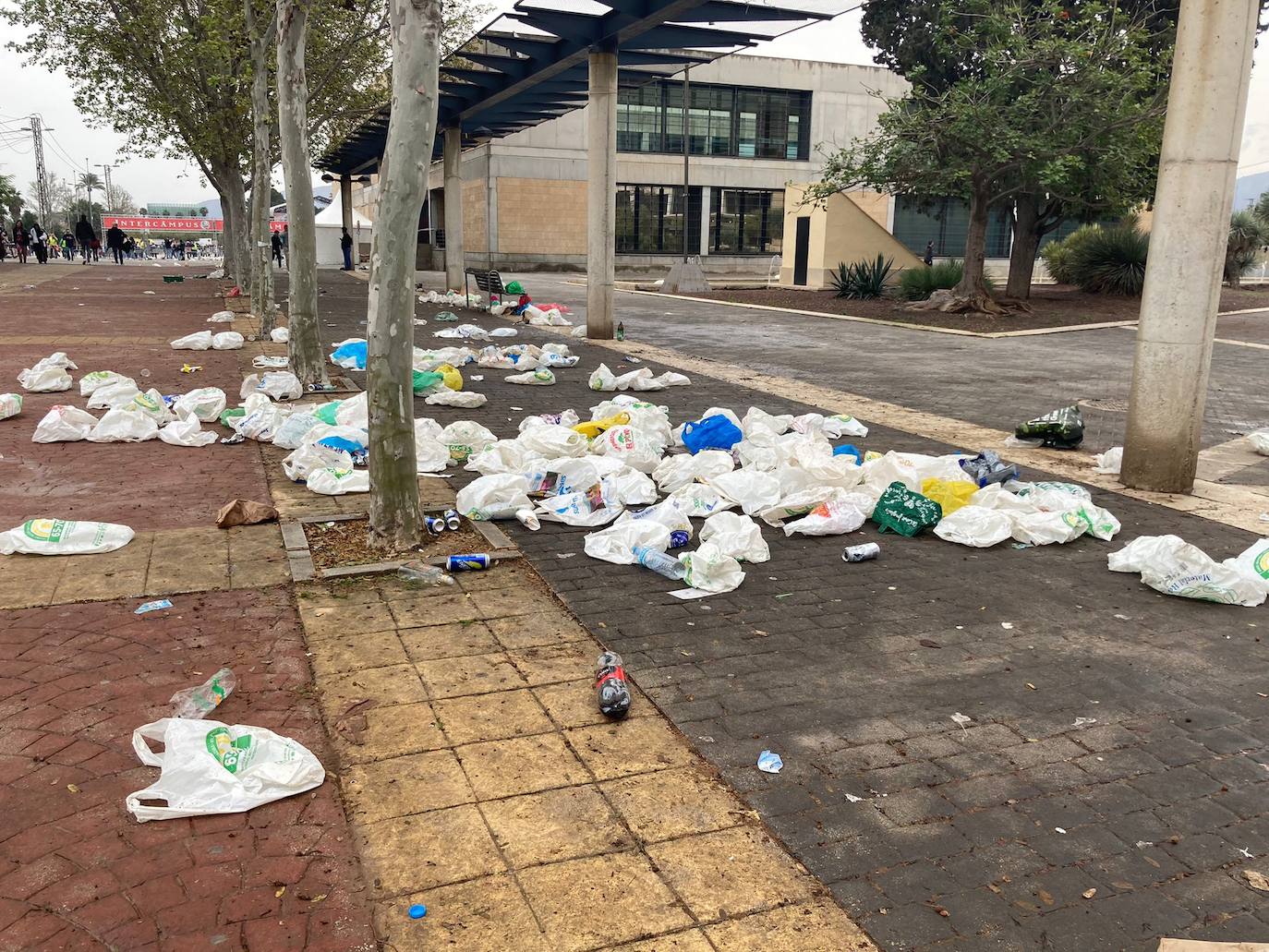 Fotos: Quejas entre los vecinos de Murcia por la imagen de decenas de jóvenes orinando en el río Segura