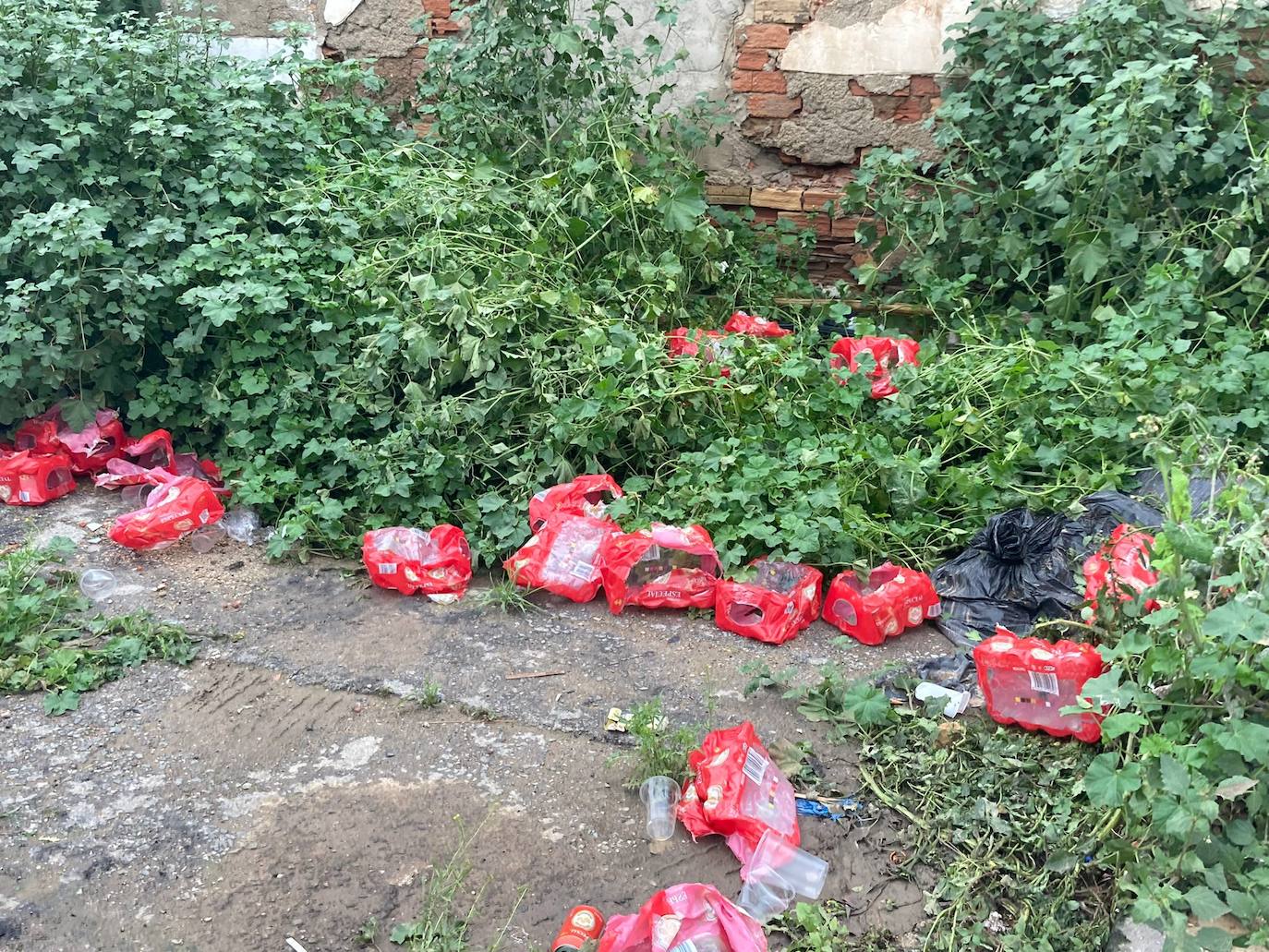 Fotos: Quejas entre los vecinos de Murcia por la imagen de decenas de jóvenes orinando en el río Segura