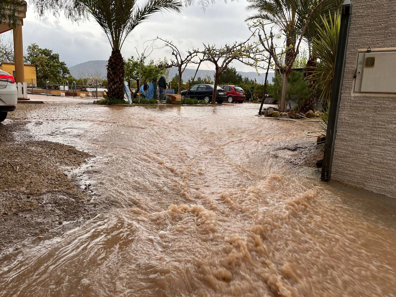 Fotos: La lluvia deja sótanos inundados, vallas reventadas y aves de corral muertas en Sierra Espuña